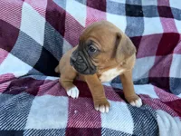 processed/76acdace-3fca-46b2-9f93-ea908c679e33/listing/d4e2cda5-aae0-4535-8a9a-b6c00b45a2ee/fec52463-abfe-4291-80fa-0455d518f075