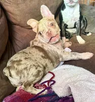 processed/76ad4d7f-5a6c-45a1-97b4-4070b2aadfb1/listing/7c49fcee-bfa8-4f98-844e-1b4f87c773a4/e84f93f2-ed84-482d-a08b-b7ea45954cf9