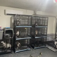 processed/76c064bf-d979-460a-8cb4-2270ecf0f6d3/facility/3f77f5b3-6737-4d73-8bb2-ccdc8d07818f