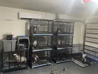 processed/76c064bf-d979-460a-8cb4-2270ecf0f6d3/facility/3f77f5b3-6737-4d73-8bb2-ccdc8d07818f