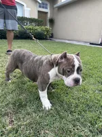 processed/76c064bf-d979-460a-8cb4-2270ecf0f6d3/listing/0d2c7a6f-ae62-4619-9321-9f39b250e342/ad89ec7d-b1dd-424a-accb-f2ca0508c66b