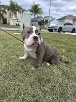 processed/76c064bf-d979-460a-8cb4-2270ecf0f6d3/listing/0d2c7a6f-ae62-4619-9321-9f39b250e342/af97c880-136f-440b-9692-a5d5e0d3dfb9