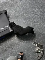 processed/76c064bf-d979-460a-8cb4-2270ecf0f6d3/listing/2b482d6b-918e-41c0-844f-375207aa58e9/1b457e83-3129-4fb3-8132-55dc0561eed6