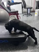 processed/76c064bf-d979-460a-8cb4-2270ecf0f6d3/listing/2b482d6b-918e-41c0-844f-375207aa58e9/6c1c5dca-9e69-4b7b-be1e-4b40b51f3833