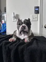 processed/76c064bf-d979-460a-8cb4-2270ecf0f6d3/listing/f10d4f51-b55a-4253-bc2a-37f5f2d762d9/1ed895e5-16b9-48d3-be36-9887a0e1c045