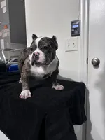 processed/76c064bf-d979-460a-8cb4-2270ecf0f6d3/listing/f10d4f51-b55a-4253-bc2a-37f5f2d762d9/4d428745-249b-41d8-80e5-a2a3406f17ae