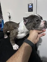 processed/76c064bf-d979-460a-8cb4-2270ecf0f6d3/listing/f10d4f51-b55a-4253-bc2a-37f5f2d762d9/6cf53b00-1feb-4702-815c-62753ffb2077