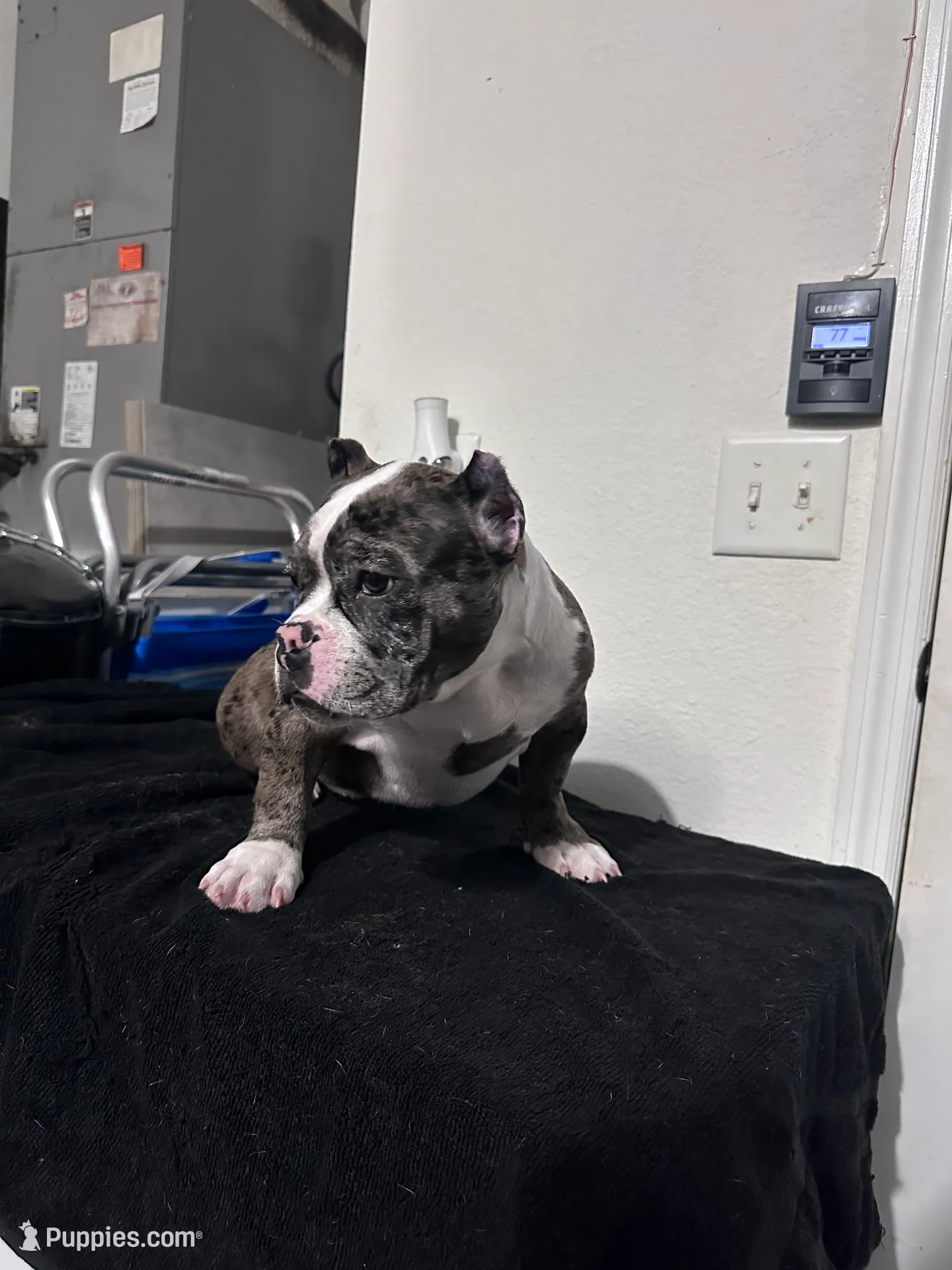 processed/76c064bf-d979-460a-8cb4-2270ecf0f6d3/listing/f10d4f51-b55a-4253-bc2a-37f5f2d762d9/ba510e44-a5c5-4aeb-a340-6b86a4a74ba4