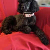 processed/76c8e9da-f5d0-4822-87ff-f627da8f44a8/facility/2315cfd9-5f1c-4c22-a96d-6a952d8cdea8