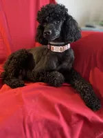 processed/76c8e9da-f5d0-4822-87ff-f627da8f44a8/facility/2315cfd9-5f1c-4c22-a96d-6a952d8cdea8