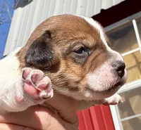 processed/76cdf925-057b-46f4-8b93-18b33824e8a1/listing/b816be03-28c8-4cb5-a271-bff36ce2f42a/18babd78-8c66-4175-a3eb-e03094fb4325