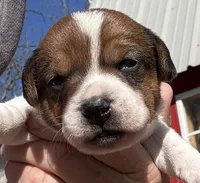 processed/76cdf925-057b-46f4-8b93-18b33824e8a1/listing/b816be03-28c8-4cb5-a271-bff36ce2f42a/93d2ff0e-4355-4c50-bc8e-6f6216184ef7