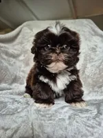 processed/76d2ae23-2972-4151-94f4-923f2d6c5b75/listing/8677f93f-aac5-430b-9e4b-865095c4ca63/a30e5e3c-57fe-4563-9af5-c31890e62e71