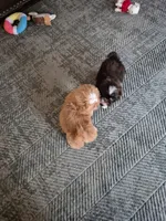 processed/76d2ae23-2972-4151-94f4-923f2d6c5b75/listing/8677f93f-aac5-430b-9e4b-865095c4ca63/d52670cd-1f39-4f7d-b0b8-50ecf5dd539f