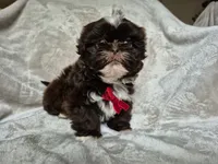 processed/76d2ae23-2972-4151-94f4-923f2d6c5b75/listing/8677f93f-aac5-430b-9e4b-865095c4ca63/e807262a-eeca-431b-9be9-8df6d8183f01