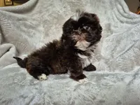 processed/76d2ae23-2972-4151-94f4-923f2d6c5b75/listing/8677f93f-aac5-430b-9e4b-865095c4ca63/e9554fff-a987-4d66-9062-42cd76f29201