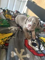 processed/76d83707-1d36-4ee0-a153-d1c9de5ef905/listing/86db66e0-fc84-4700-803f-eed34c263405/229b50e2-db4c-4fbc-8e3e-334b529874c7