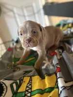 processed/76d83707-1d36-4ee0-a153-d1c9de5ef905/listing/a29d472a-2330-492b-9d9b-55940f621cb0/7e3a8f04-b99a-49d6-8121-6633b325bd79