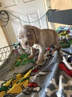 processed/76d83707-1d36-4ee0-a153-d1c9de5ef905/listing/a29d472a-2330-492b-9d9b-55940f621cb0/a21d5fe1-14b6-4e07-87a3-cda52c973055