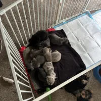 processed/76e67a36-3d72-4473-bb90-6307c220a411/facility/f4a7e38d-12dc-4461-9613-24ad3e9edb4f