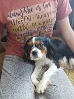 processed/76ee8039-a3a2-4f13-a886-d943d88b0d7e/facility/0c71e631-c233-41fa-926e-f061622f8951