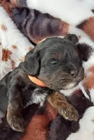 processed/76ee8039-a3a2-4f13-a886-d943d88b0d7e/facility/55250c30-41e4-4b2f-a5ca-bb6fa2f87e84