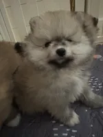 processed/76f1384f-7b57-4088-a2e4-7b71d1878e8f/listing/191b5100-241c-4f21-b9dc-d5eecdec9d63/8ab9499d-ba2e-4b3e-88de-0baedb174c76