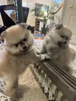 processed/76f1384f-7b57-4088-a2e4-7b71d1878e8f/listing/191b5100-241c-4f21-b9dc-d5eecdec9d63/cbf205ea-799b-44ab-aec6-da07403c25ba