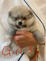 processed/76f1384f-7b57-4088-a2e4-7b71d1878e8f/listing/191b5100-241c-4f21-b9dc-d5eecdec9d63/f8c15623-5a8c-4975-a955-c712dc3efead