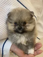 processed/76f1384f-7b57-4088-a2e4-7b71d1878e8f/listing/d92ea848-0d5a-4c76-8a38-2a5ceeadf4c7/4d7ec471-545e-49b0-99bc-644dee770166