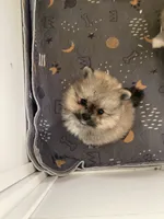 processed/76f1384f-7b57-4088-a2e4-7b71d1878e8f/listing/d92ea848-0d5a-4c76-8a38-2a5ceeadf4c7/657f1700-663e-4934-9f82-0f10848a8303