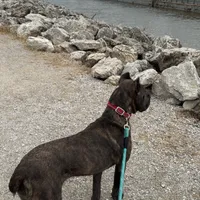 processed/7700837e-cc14-4522-a4d2-4e2625a347f3/facility/778c574b-a0aa-4923-90e4-689f63528182