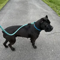 processed/7700837e-cc14-4522-a4d2-4e2625a347f3/facility/a8d5ae61-918a-42bd-8525-e46f281f57fd