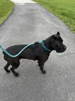 processed/7700837e-cc14-4522-a4d2-4e2625a347f3/facility/a8d5ae61-918a-42bd-8525-e46f281f57fd