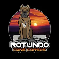 processed/7700837e-cc14-4522-a4d2-4e2625a347f3/facility/b68f4271-3003-4e43-b72c-ca40a3cc62ec