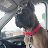 processed/7700837e-cc14-4522-a4d2-4e2625a347f3/facility/db22cf59-c4d4-412b-af71-1b5e5c1ee1ec