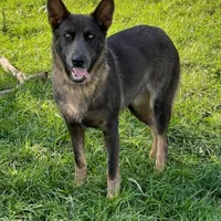 processed/771852c5-e017-4154-8e3f-bae1bf732b13/facility/14fcfc08-be26-4b40-9483-b0d208101941