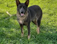 processed/771852c5-e017-4154-8e3f-bae1bf732b13/facility/14fcfc08-be26-4b40-9483-b0d208101941