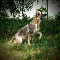 processed/771852c5-e017-4154-8e3f-bae1bf732b13/facility/853750cf-f593-4c8b-bf5b-9a491f549765