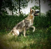 processed/771852c5-e017-4154-8e3f-bae1bf732b13/facility/853750cf-f593-4c8b-bf5b-9a491f549765