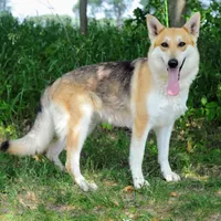 processed/771852c5-e017-4154-8e3f-bae1bf732b13/facility/e8264ba8-8404-4dcc-bcf1-08264a24a372