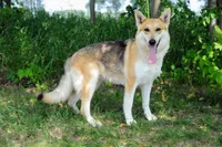 processed/771852c5-e017-4154-8e3f-bae1bf732b13/facility/e8264ba8-8404-4dcc-bcf1-08264a24a372