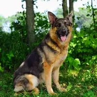 processed/771852c5-e017-4154-8e3f-bae1bf732b13/facility/ebd71b30-5ae8-404f-a995-8d29431e6717