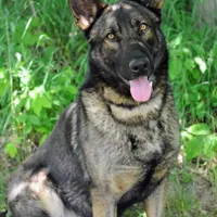 processed/771852c5-e017-4154-8e3f-bae1bf732b13/facility/ebee1107-7b9b-41b5-ae3f-af99495937bc