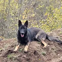 processed/771852c5-e017-4154-8e3f-bae1bf732b13/facility/f2baae04-ccc9-4200-b8d5-912f01a108c7