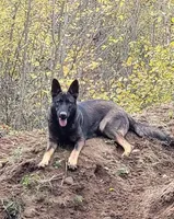 processed/771852c5-e017-4154-8e3f-bae1bf732b13/facility/f2baae04-ccc9-4200-b8d5-912f01a108c7