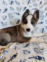 processed/771852c5-e017-4154-8e3f-bae1bf732b13/listing/a95b8e70-464b-4462-b7b3-f0066ce7d8c7/1700c617-cf86-4b78-bbd3-1f53504bea21