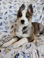 processed/771852c5-e017-4154-8e3f-bae1bf732b13/listing/a95b8e70-464b-4462-b7b3-f0066ce7d8c7/56b3ee8b-3abd-4af1-b9cf-70ad3b7f86d1