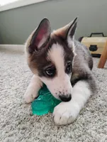 processed/771852c5-e017-4154-8e3f-bae1bf732b13/listing/a95b8e70-464b-4462-b7b3-f0066ce7d8c7/5846dda4-8c14-4751-95d7-3c414be48759