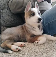 processed/771852c5-e017-4154-8e3f-bae1bf732b13/listing/a95b8e70-464b-4462-b7b3-f0066ce7d8c7/740125d2-ecf0-4381-90c5-6f2157970644